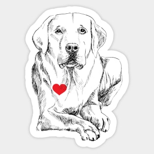 love a Labrador Sticker